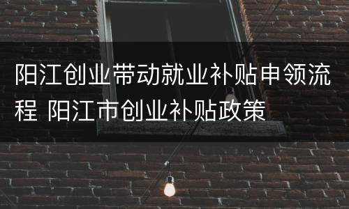 阳江创业带动就业补贴申领流程 阳江市创业补贴政策