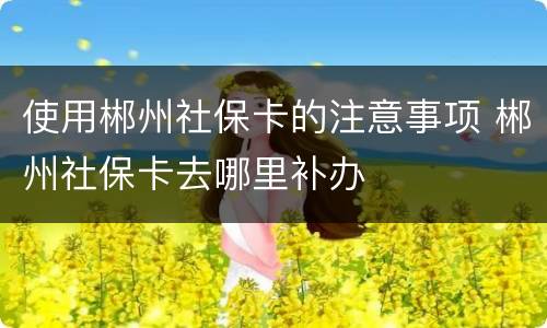 使用郴州社保卡的注意事项 郴州社保卡去哪里补办