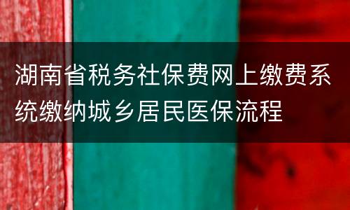 湖南省税务社保费网上缴费系统缴纳城乡居民医保流程