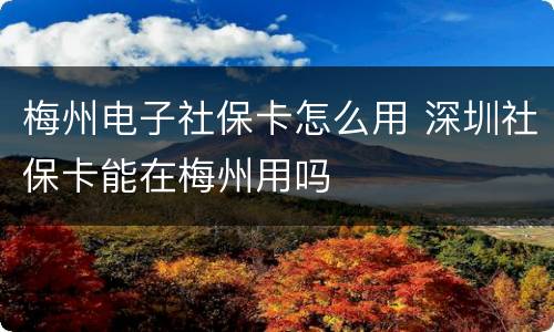 梅州电子社保卡怎么用 深圳社保卡能在梅州用吗