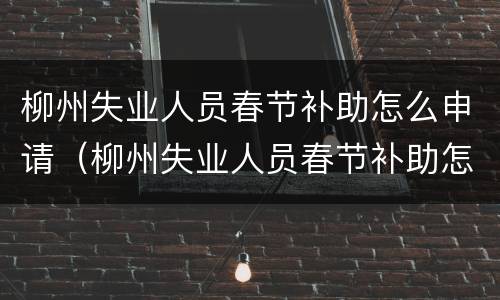 柳州失业人员春节补助怎么申请（柳州失业人员春节补助怎么申请不了）