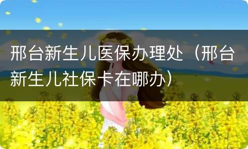 邢台新生儿医保办理处（邢台新生儿社保卡在哪办）