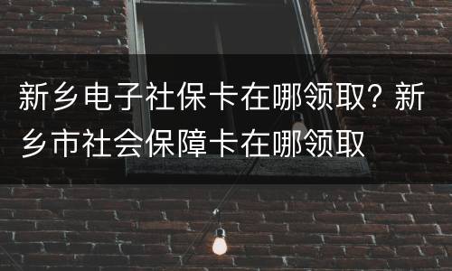 新乡电子社保卡在哪领取? 新乡市社会保障卡在哪领取