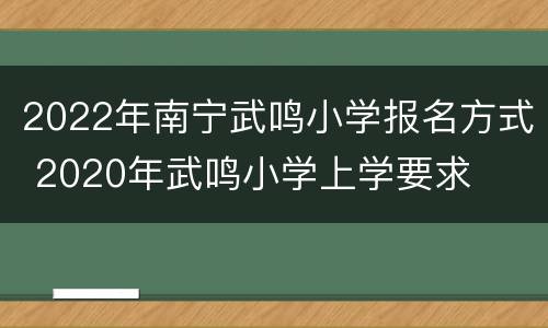 2022年南宁武鸣小学报名方式 2020年武鸣小学上学要求