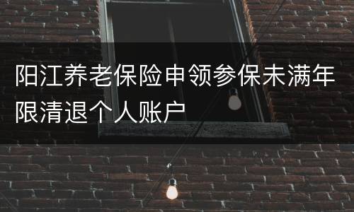 阳江养老保险申领参保未满年限清退个人账户