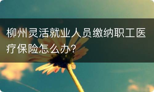 柳州灵活就业人员缴纳职工医疗保险怎么办？