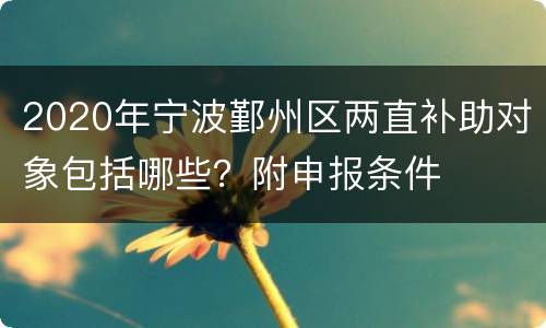 2020年宁波鄞州区两直补助对象包括哪些？附申报条件
