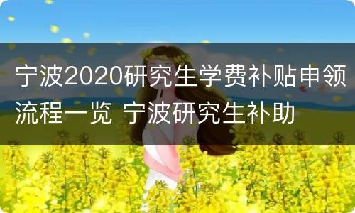 宁波2020研究生学费补贴申领流程一览 宁波研究生补助