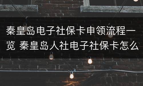 秦皇岛电子社保卡申领流程一览 秦皇岛人社电子社保卡怎么用