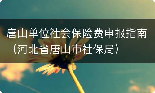 唐山单位社会保险费申报指南（河北省唐山市社保局）