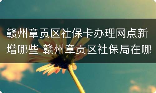 赣州章贡区社保卡办理网点新增哪些 赣州章贡区社保局在哪里