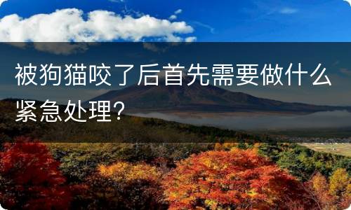 被狗猫咬了后首先需要做什么紧急处理?