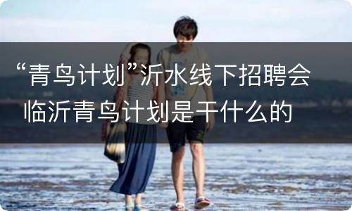 “青鸟计划”沂水线下招聘会 临沂青鸟计划是干什么的