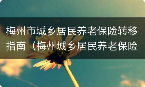 梅州市城乡居民养老保险转移指南（梅州城乡居民养老保险缴费）