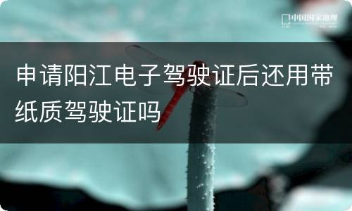 申请阳江电子驾驶证后还用带纸质驾驶证吗