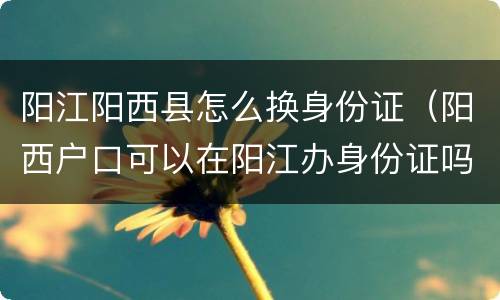 阳江阳西县怎么换身份证（阳西户口可以在阳江办身份证吗）