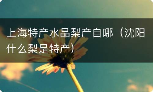 上海特产水晶梨产自哪（沈阳什么梨是特产）