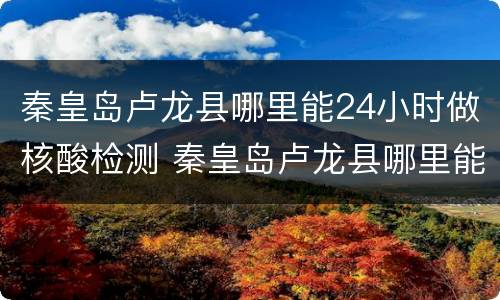 秦皇岛卢龙县哪里能24小时做核酸检测 秦皇岛卢龙县哪里能24小时做核酸检测报告