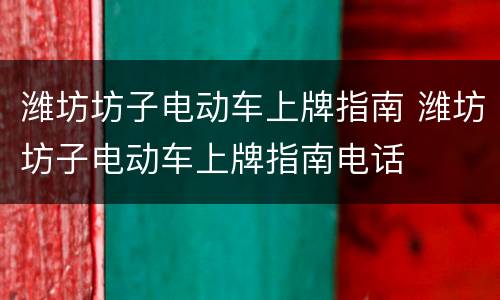 潍坊坊子电动车上牌指南 潍坊坊子电动车上牌指南电话
