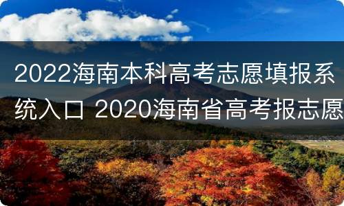 2022海南本科高考志愿填报系统入口 2020海南省高考报志愿系统
