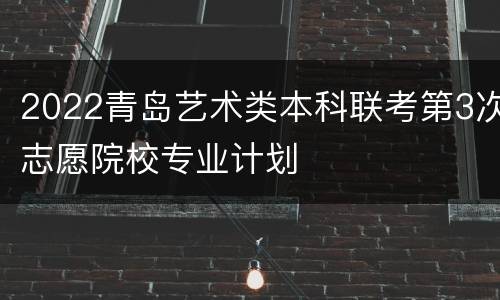 2022青岛艺术类本科联考第3次志愿院校专业计划