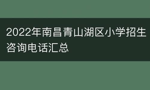 2022年南昌青山湖区小学招生咨询电话汇总