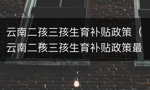 云南二孩三孩生育补贴政策（云南二孩三孩生育补贴政策最新）