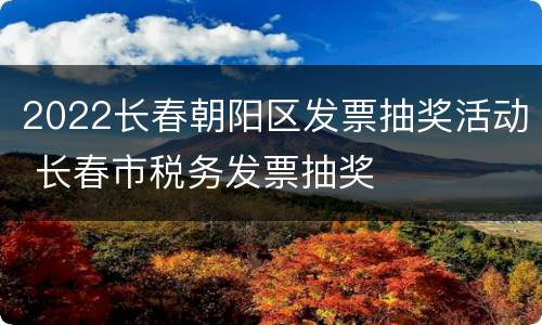 2022长春朝阳区发票抽奖活动 长春市税务发票抽奖