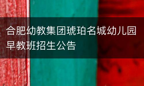 合肥幼教集团琥珀名城幼儿园早教班招生公告