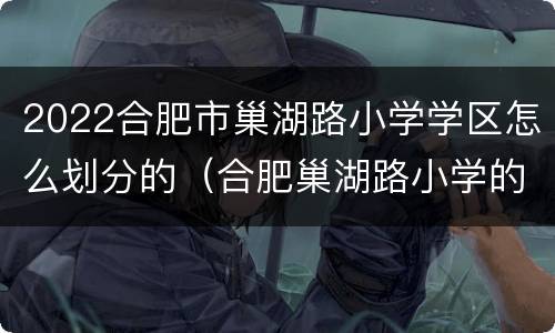 2022合肥市巢湖路小学学区怎么划分的（合肥巢湖路小学的学区房）