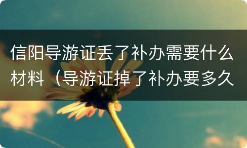 信阳导游证丢了补办需要什么材料（导游证掉了补办要多久）
