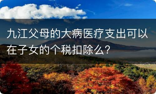 九江父母的大病医疗支出可以在子女的个税扣除么?
