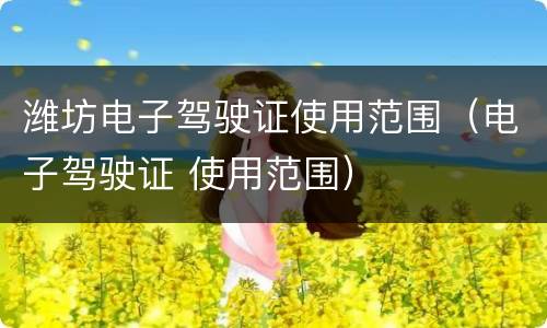 潍坊电子驾驶证使用范围（电子驾驶证 使用范围）