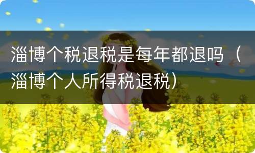 淄博个税退税是每年都退吗（淄博个人所得税退税）