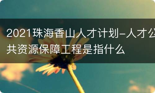 2021珠海香山人才计划-人才公共资源保障工程是指什么