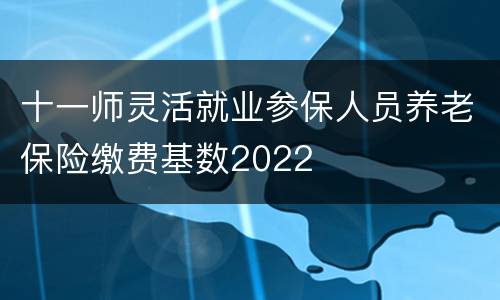 十一师灵活就业参保人员养老保险缴费基数2022
