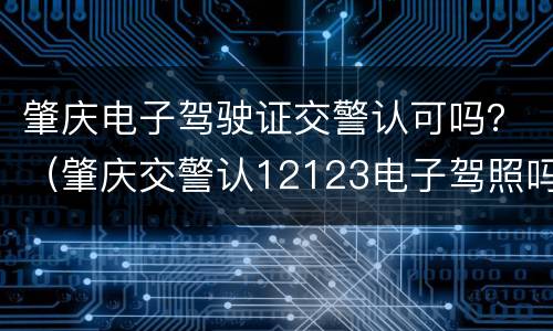 肇庆电子驾驶证交警认可吗？（肇庆交警认12123电子驾照吗）