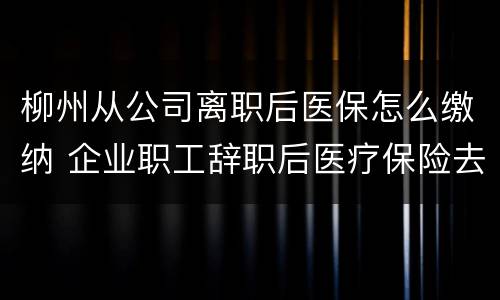 柳州从公司离职后医保怎么缴纳 企业职工辞职后医疗保险去哪里交