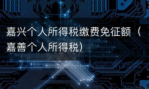 嘉兴个人所得税缴费免征额（嘉善个人所得税）