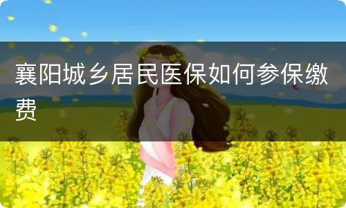 襄阳城乡居民医保如何参保缴费