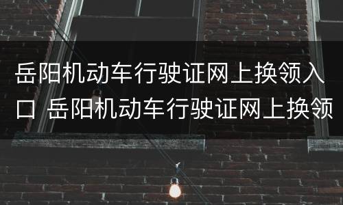 岳阳机动车行驶证网上换领入口 岳阳机动车行驶证网上换领入口在哪