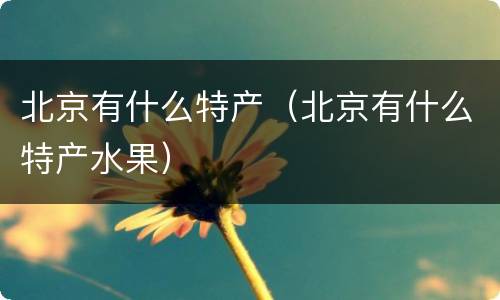 北京有什么特产（北京有什么特产水果）