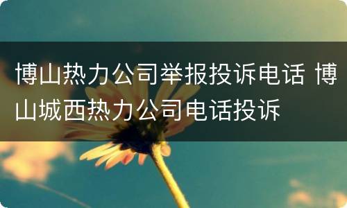 博山热力公司举报投诉电话 博山城西热力公司电话投诉