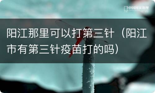 阳江那里可以打第三针（阳江市有第三针疫苗打的吗）