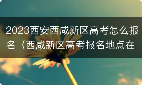 2023西安西咸新区高考怎么报名（西咸新区高考报名地点在哪）