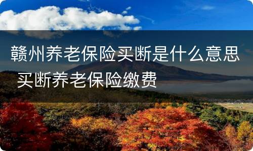 赣州养老保险买断是什么意思 买断养老保险缴费