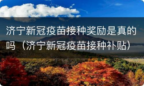 济宁新冠疫苗接种奖励是真的吗（济宁新冠疫苗接种补贴）