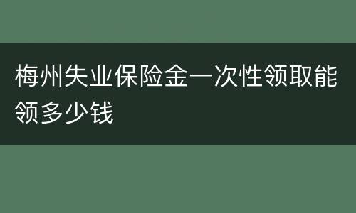 梅州失业保险金一次性领取能领多少钱