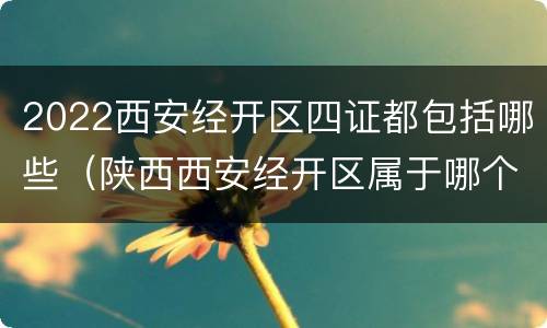 2022西安经开区四证都包括哪些（陕西西安经开区属于哪个区）