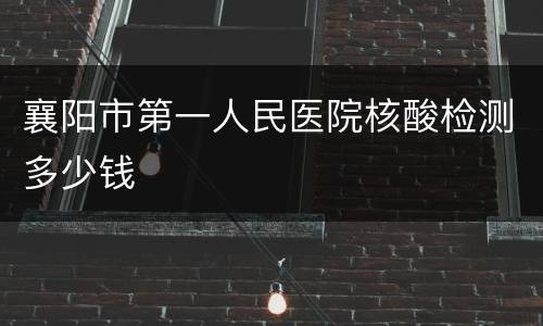 襄阳市第一人民医院核酸检测多少钱